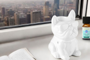 brule parfum boubou chien blanc